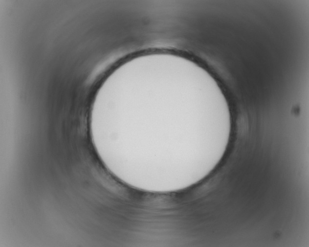 X0000111891262200909031856