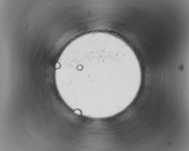 X0000111891265200909031856