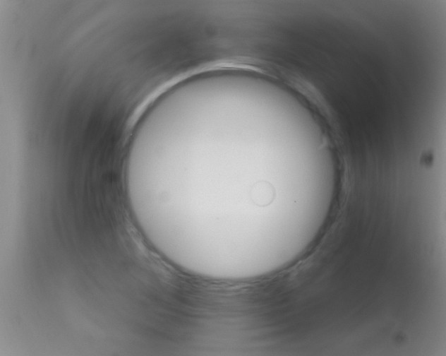 X0000111891268200909031856