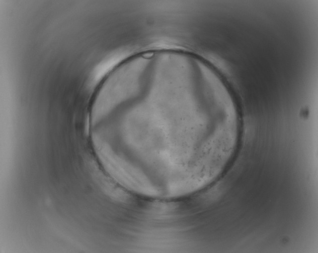 X0000111891269200909031856