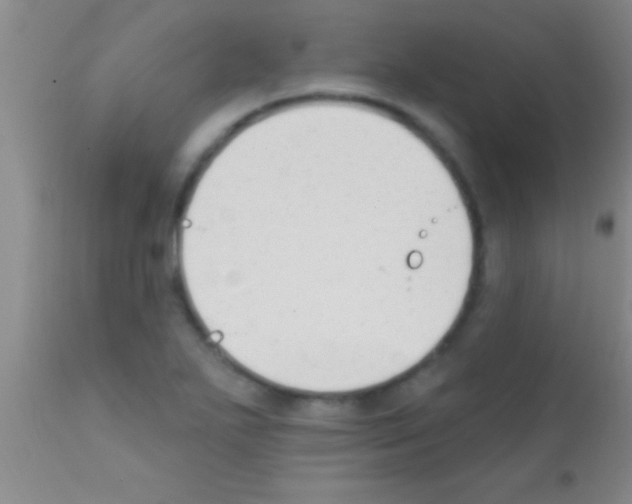 X0000111891271200909031856