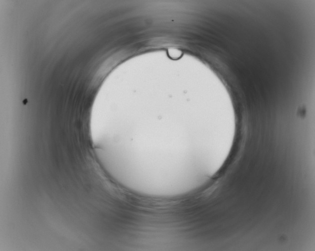 X0000111891273200909031856