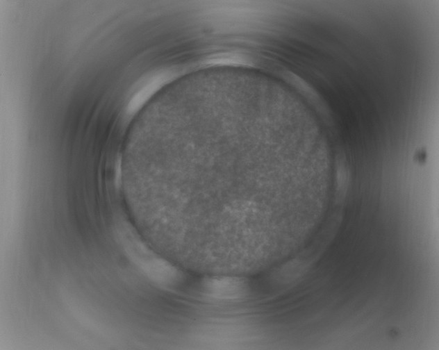 X0000111891274200909031856