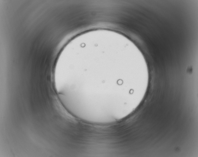 X0000111891280200909031856