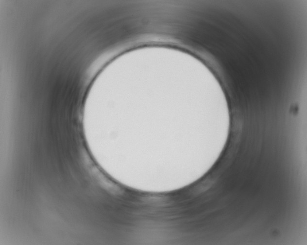 X0000111891287200909031856