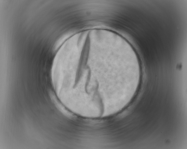 X0000111891289200909031856