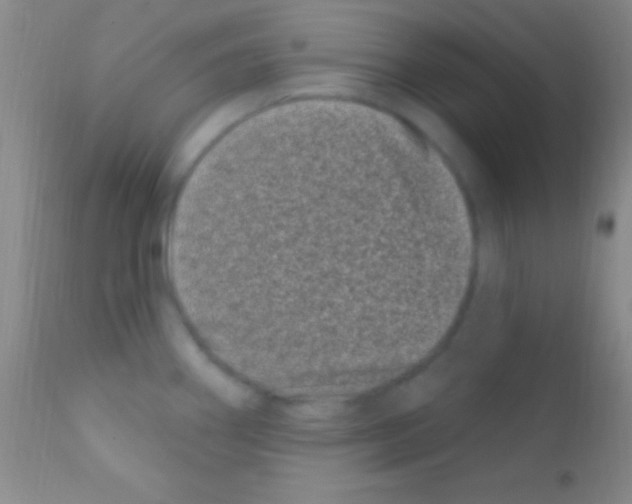 X0000111891290200909031856