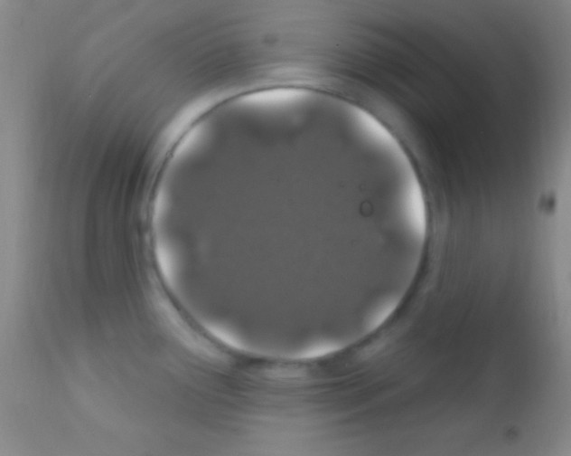 X0000111891291200909031856