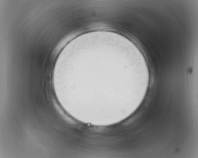 X0000111891293200909031856