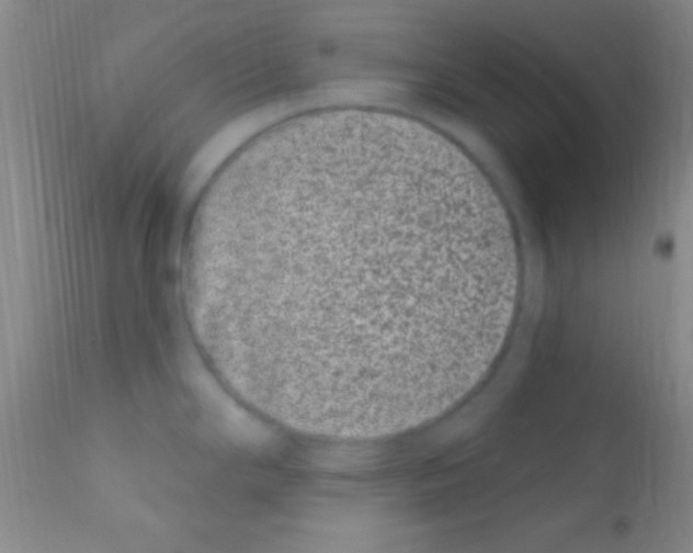 X0000111891294200909031856