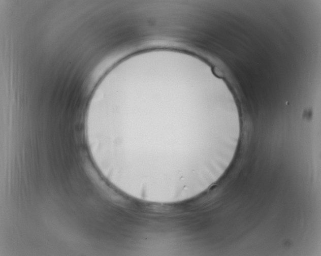 X0000111891295200909031856