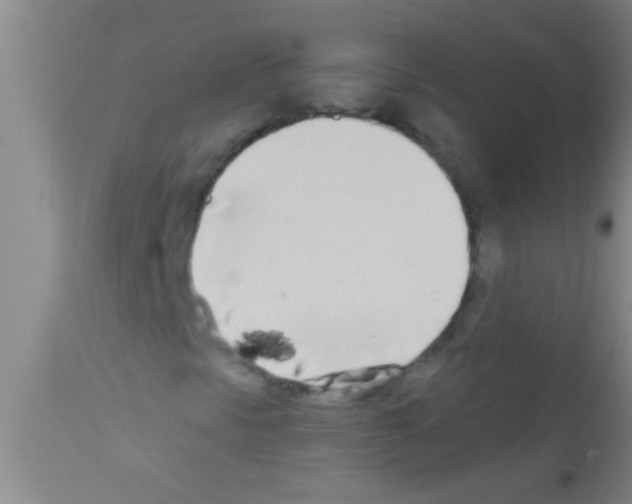 X0000111891297200909031855