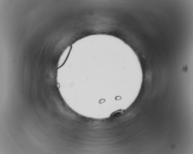 X0000111891300200909031855