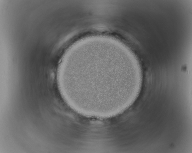 X0000111891302200909031855