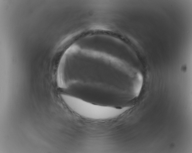 X0000111891303200909031855