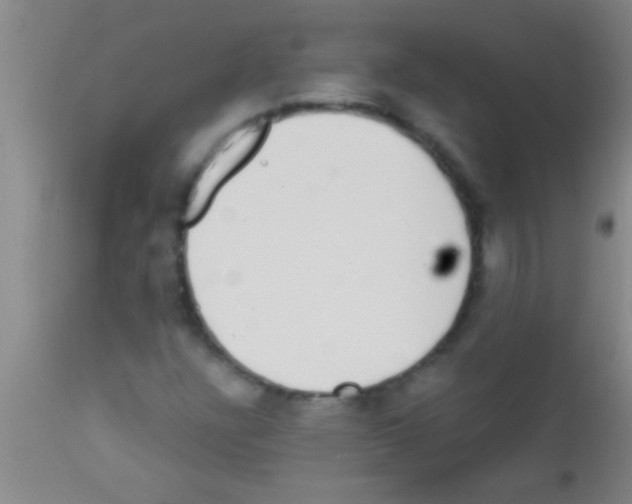 X0000111891304200909031855