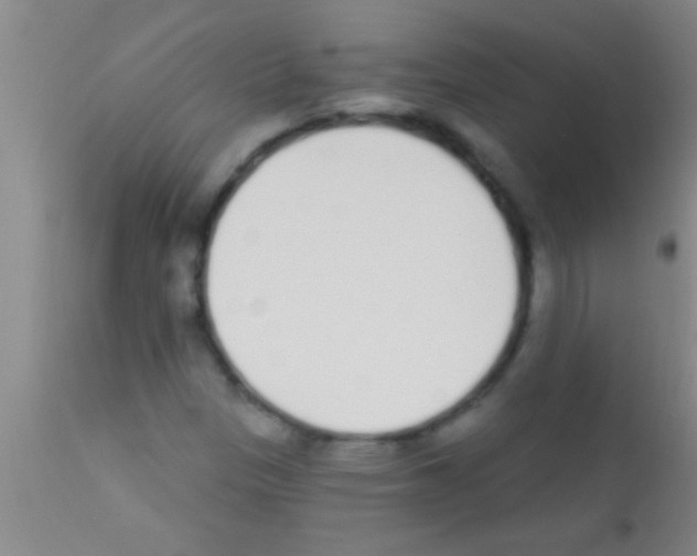 X0000111891305200909031855