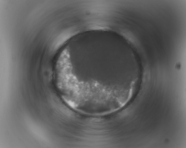 X0000111891306200909031855