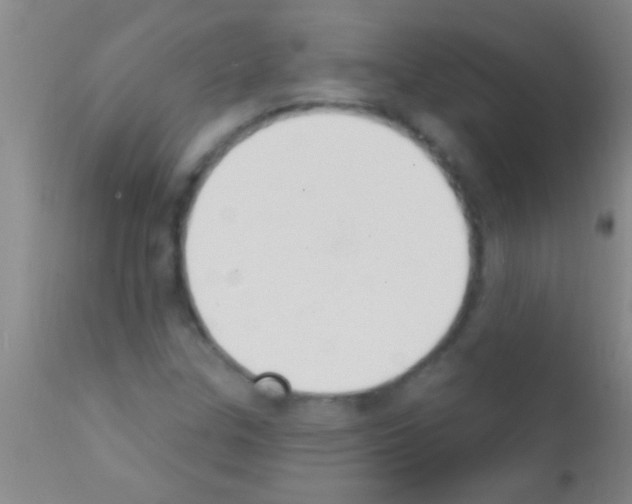 X0000111891307200909031855