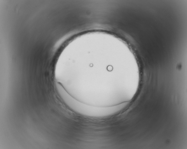 X0000111891310200909031855