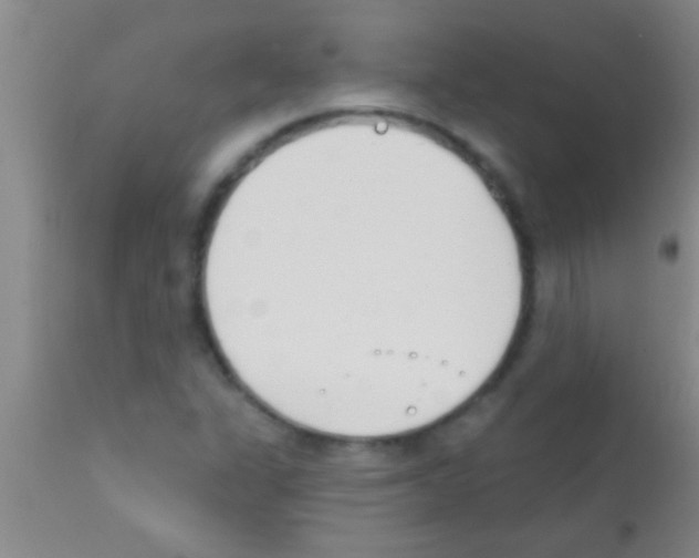 X0000111891311200909031855