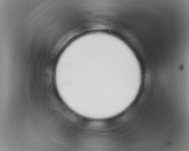 X0000111891313200909031855