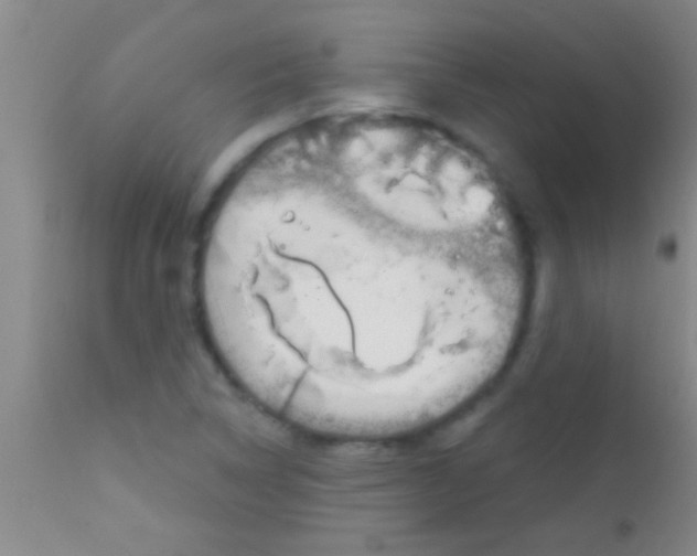 X0000111891314200909031855