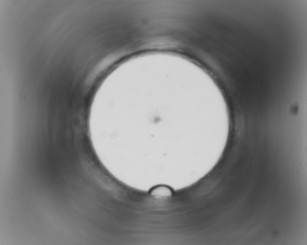 X0000111891315200909031855