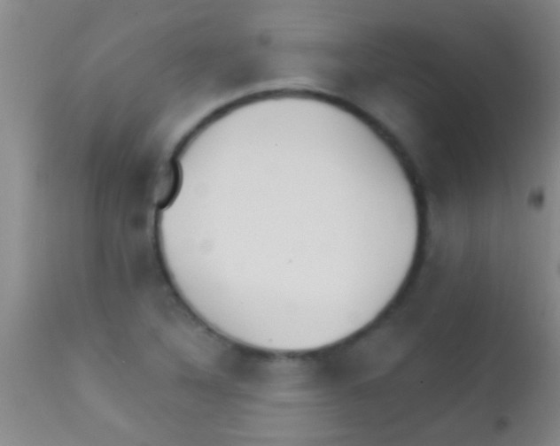 X0000111891316200909031855