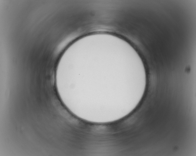 X0000111891317200909031855