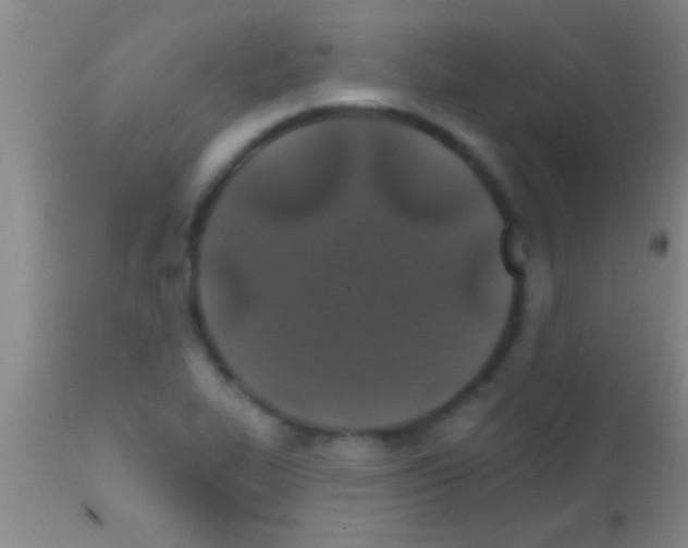 X0000111891319200909031855