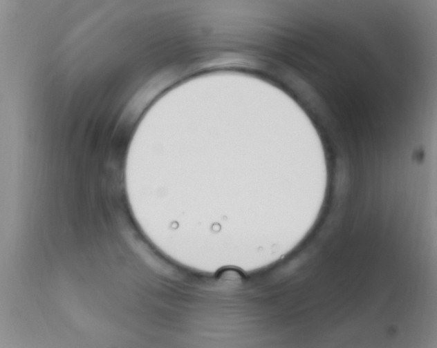 X0000111891321200909031855