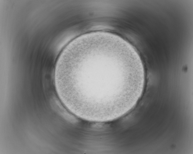 X0000111891322200909031855