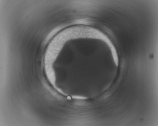 X0000111891323200909031856