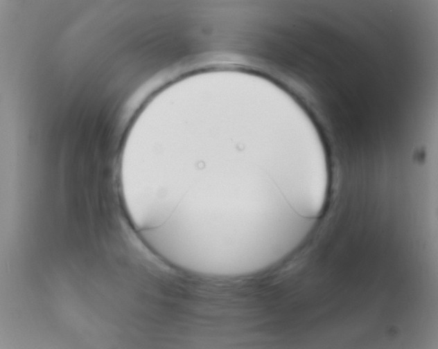 X0000111891326200909031856