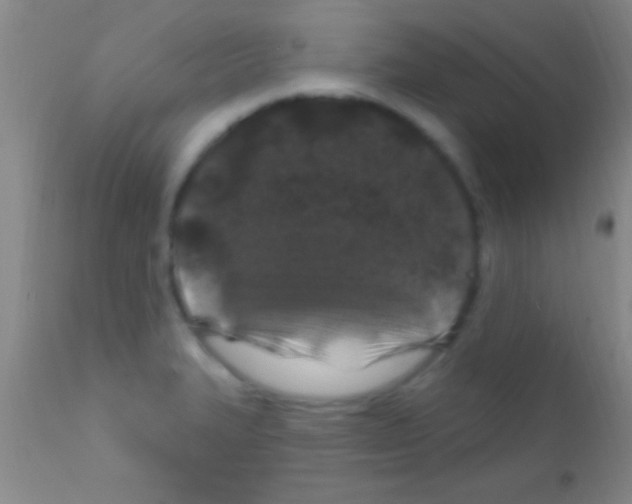 X0000111891327200909031856