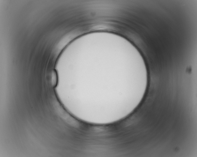 X0000111891330200909031856