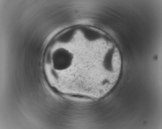 X0000111891331200909031856