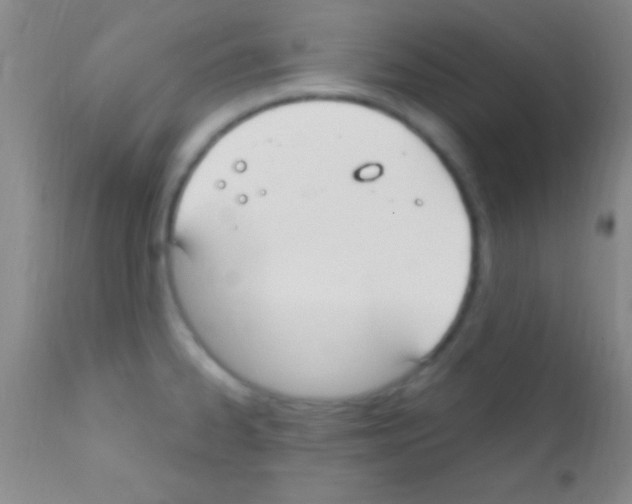 X0000111891334200909031856