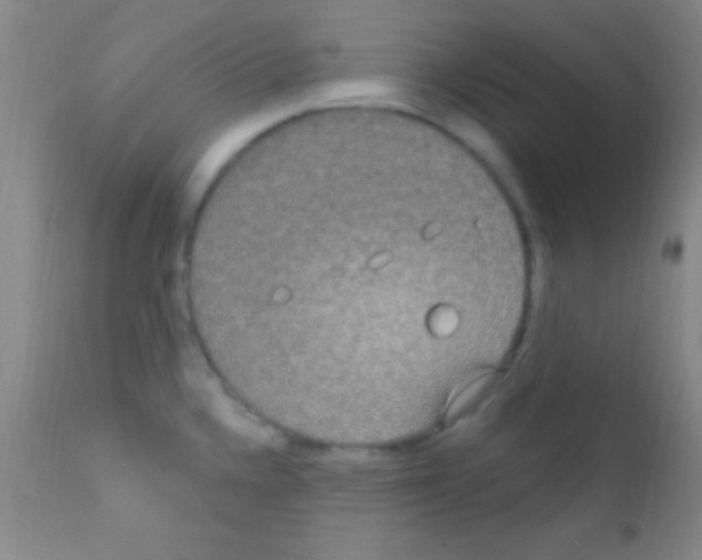 X0000111891336200909031856