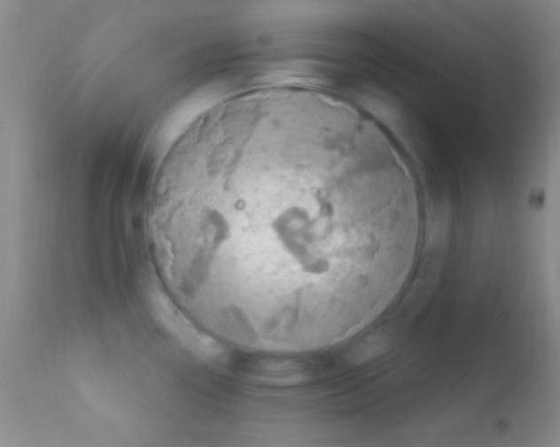 X0000111891338200909031856