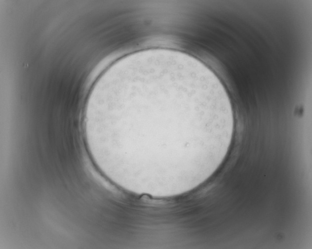 X0000111891339200909031856