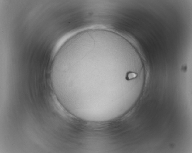 X0000111891340200909031856