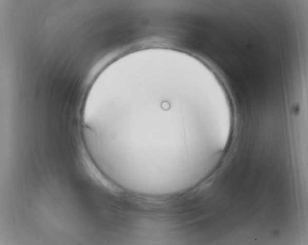 X0000111891341200909031856