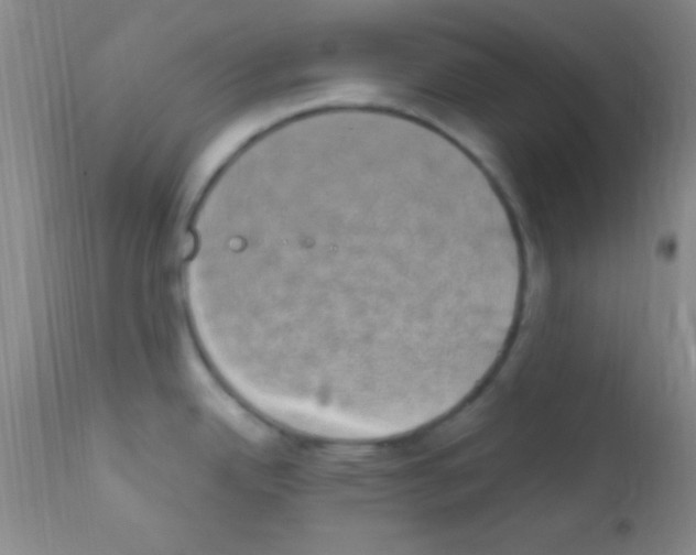 X0000111891342200909031856