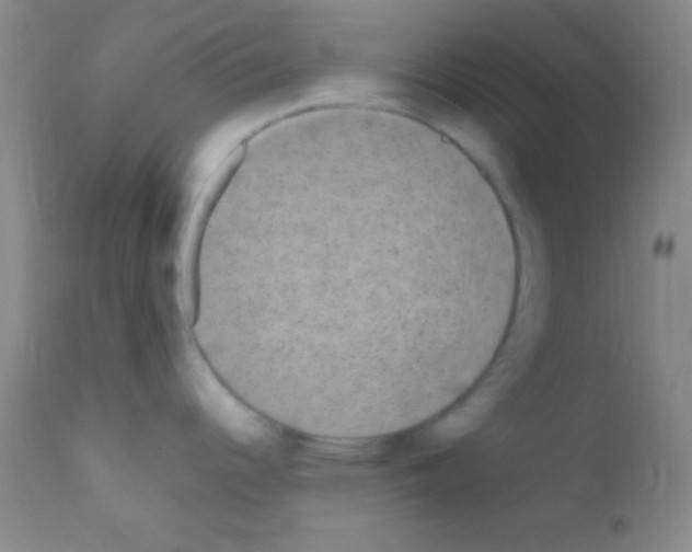 X0000111891344200909031856