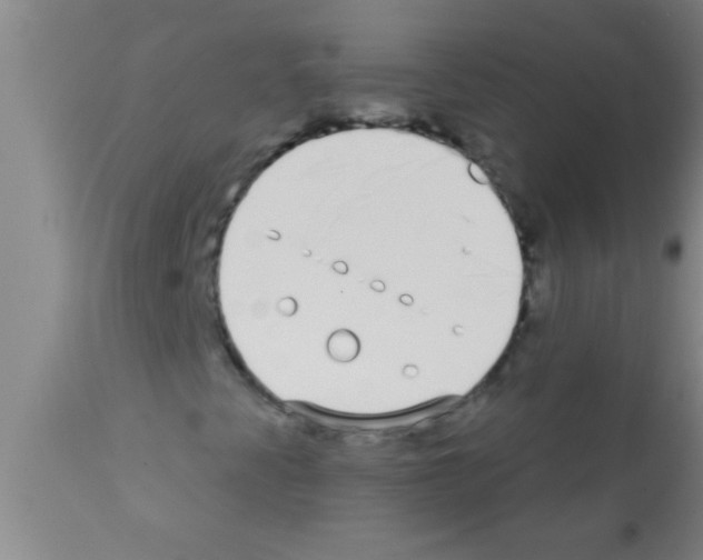 X0000111891345200909031855