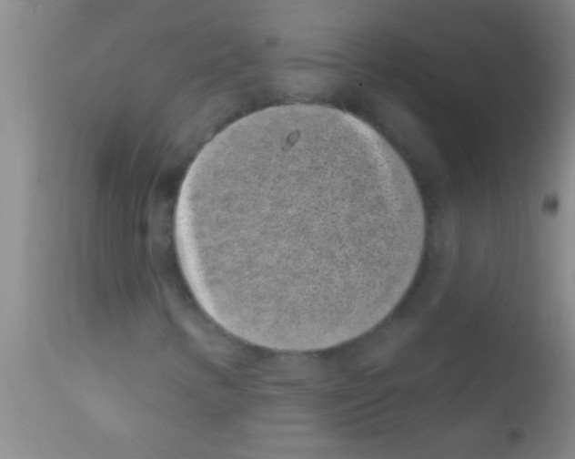 X0000111891346200909031855