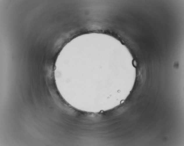 X0000111891348200909031855