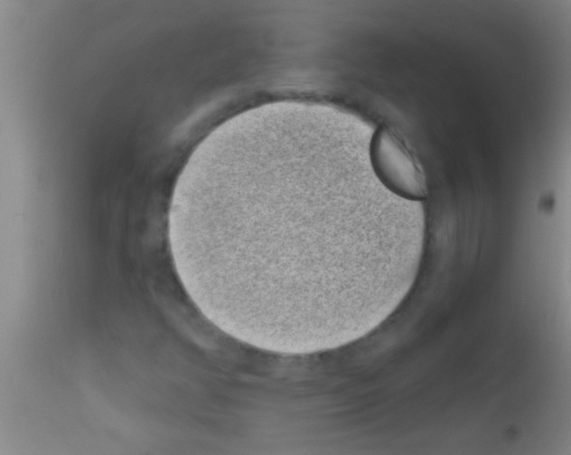 X0000111891350200909031855